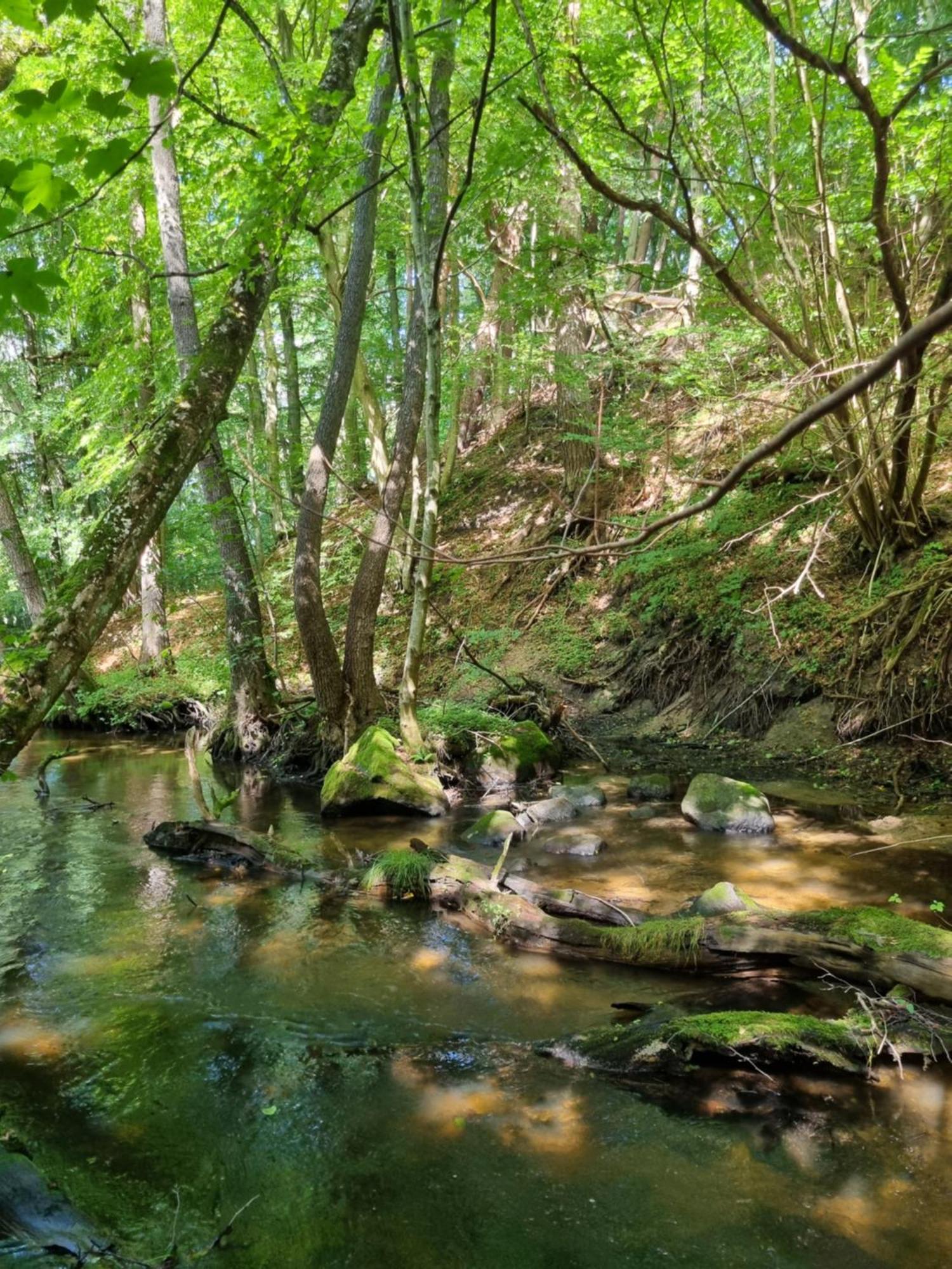 Domki Nad Morzem Lublewo21 Obok Bialogory Lublewo Leborskie Exterior foto