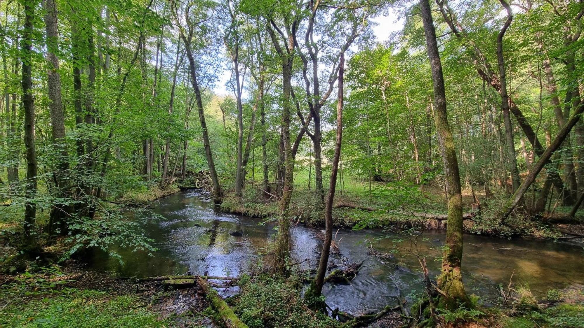 Domki Nad Morzem Lublewo21 Obok Bialogory Lublewo Leborskie Exterior foto