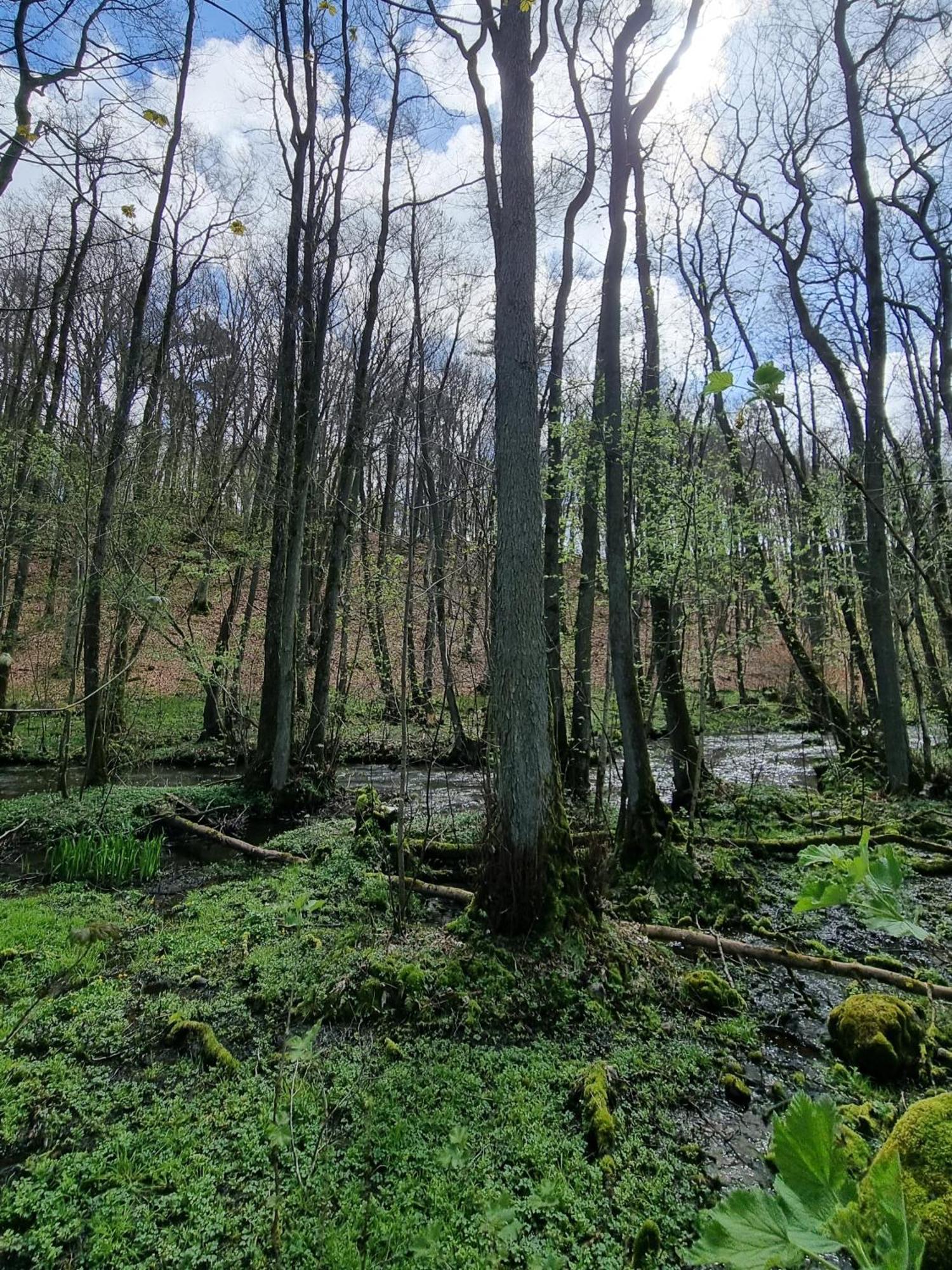 Domki Nad Morzem Lublewo21 Obok Bialogory Lublewo Leborskie Exterior foto